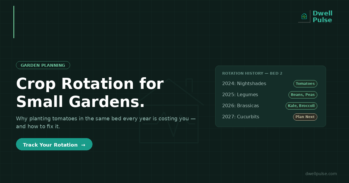 Crop Rotation for Small Gardens: Why Planting Tomatoes in the Same Bed Every Year Is Costing You