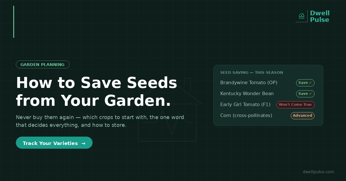 How to Save Seeds from Your Garden So You Never Have to Buy Them Again